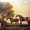 George Stubbs an arabian mare and a younger horse confronting a water spaniel 1780