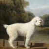 George Stubbs white poodle in a punt 1780